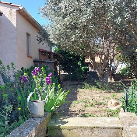 Villa 80 M2 Jardin Terrasse 3 Chambres Provence Volx Exteriér fotografie